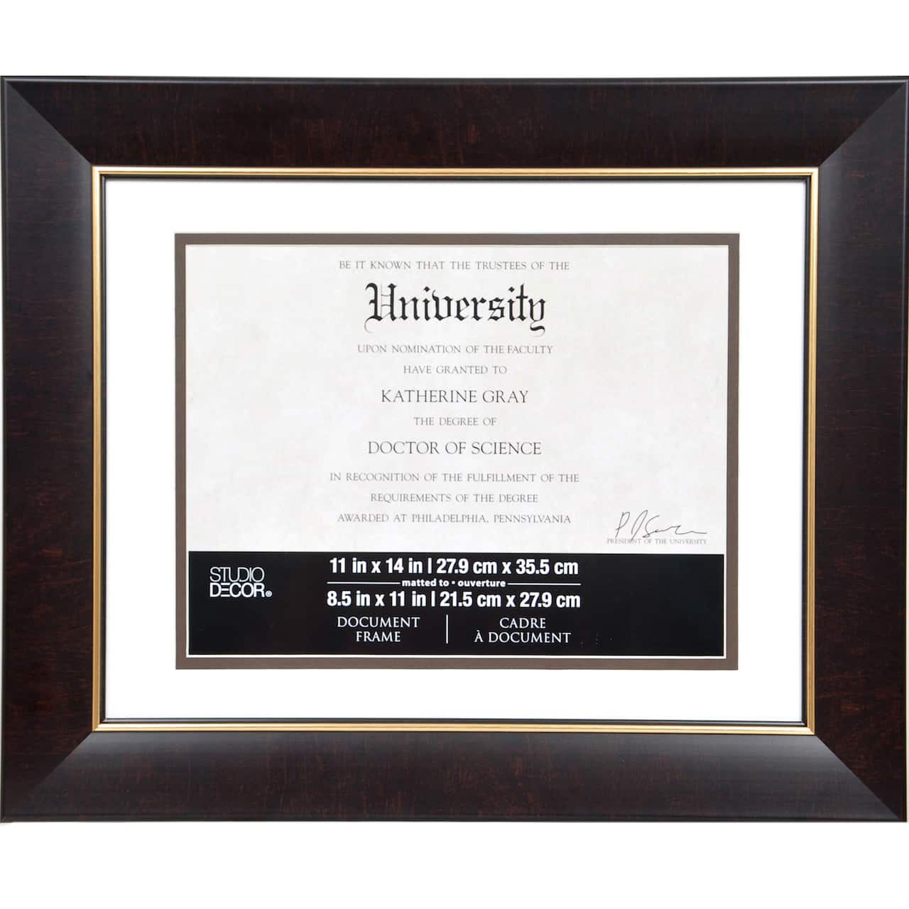 Brown &#x26; Gold 8.5&#x22; x 11&#x22; Document Frame with Mat by Studio D&#xE9;cor&#xAE;